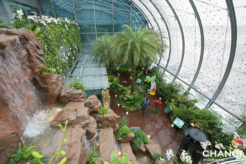 Nature & Gardens Terminal 3 Transit - Worlds first Butterfly Garden in an airport